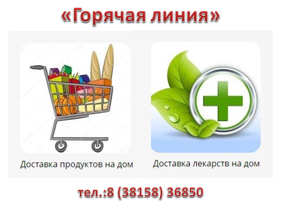 Горячая линия по доставке продуктов и лекарственных препаратов